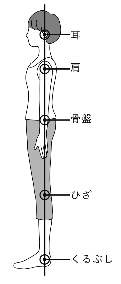 食事のマナー 食べ方の姿勢 子どものための おはしのあれこれ学べる 箸育キッズ